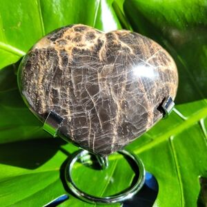 Beautiful Black Moonstone Heart 372g